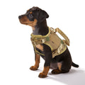 Tactical Cat Harness and Leash – Adjustable Vest for Small Dogs and Kittens-My Little Pet