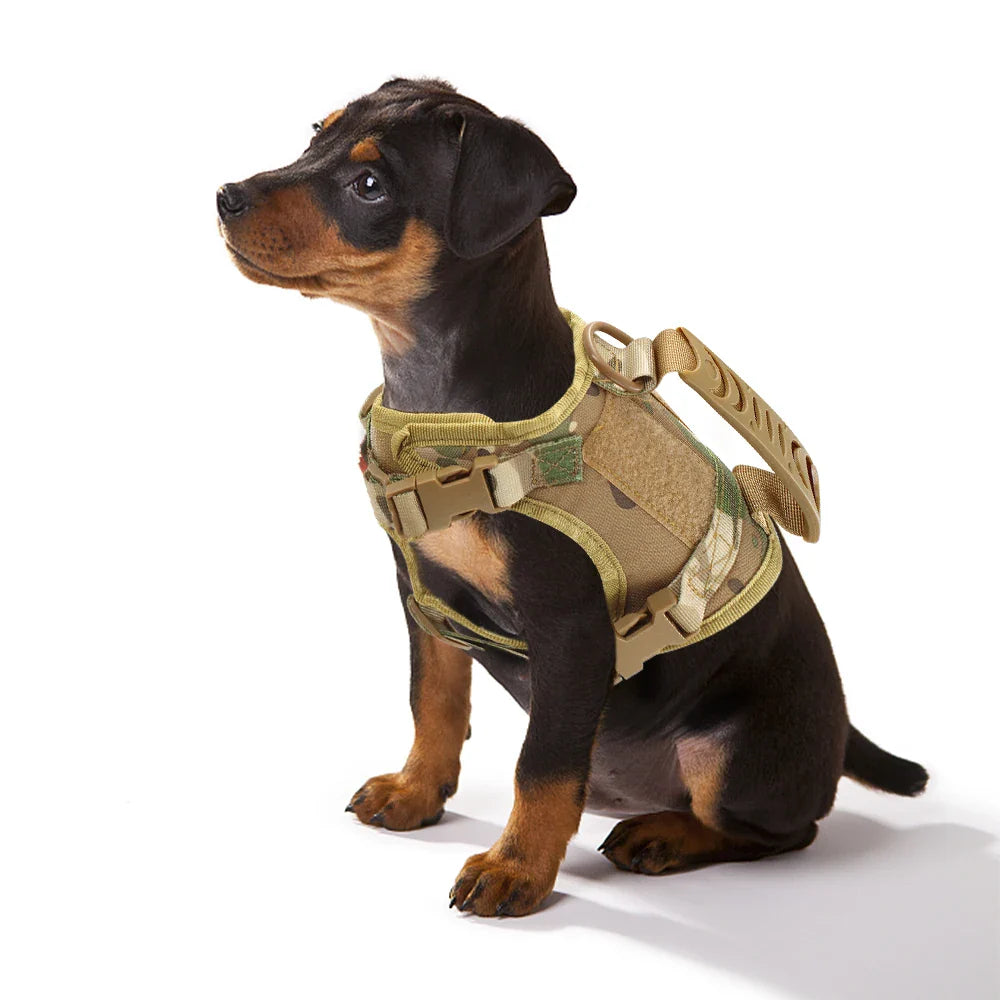 Tactical Cat Harness and Leash – Adjustable Vest for Small Dogs and Kittens-My Little Pet