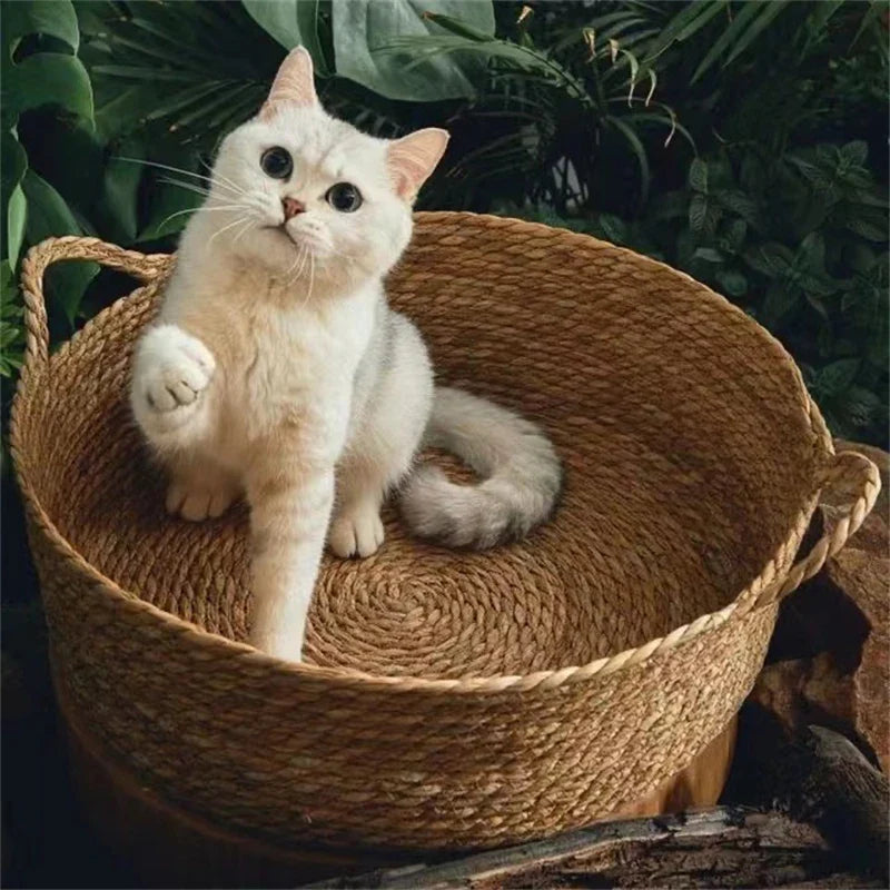 Rattan Woven Cat Bed – Four-Season Nest-My Little Pet