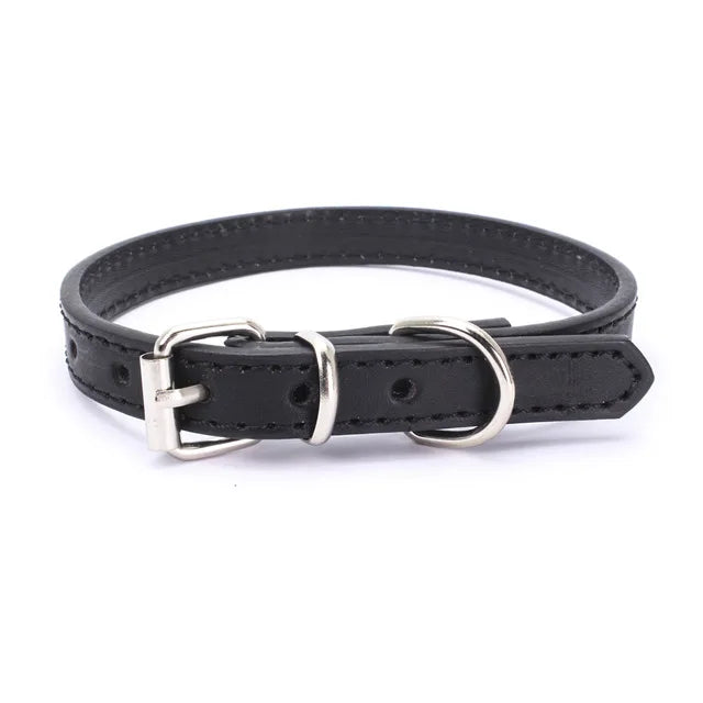 Adjustable Dog Collar with Alloy Buckle - Available in Multiple Colors-My Little Pet