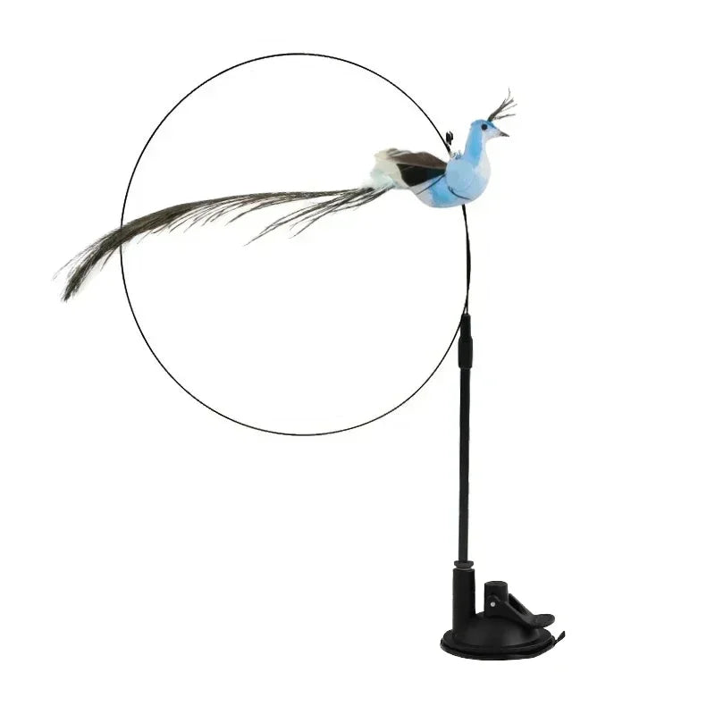 Interactive Peacock Feather Cat Toy with Bell and Suction Cup-My Little Pet