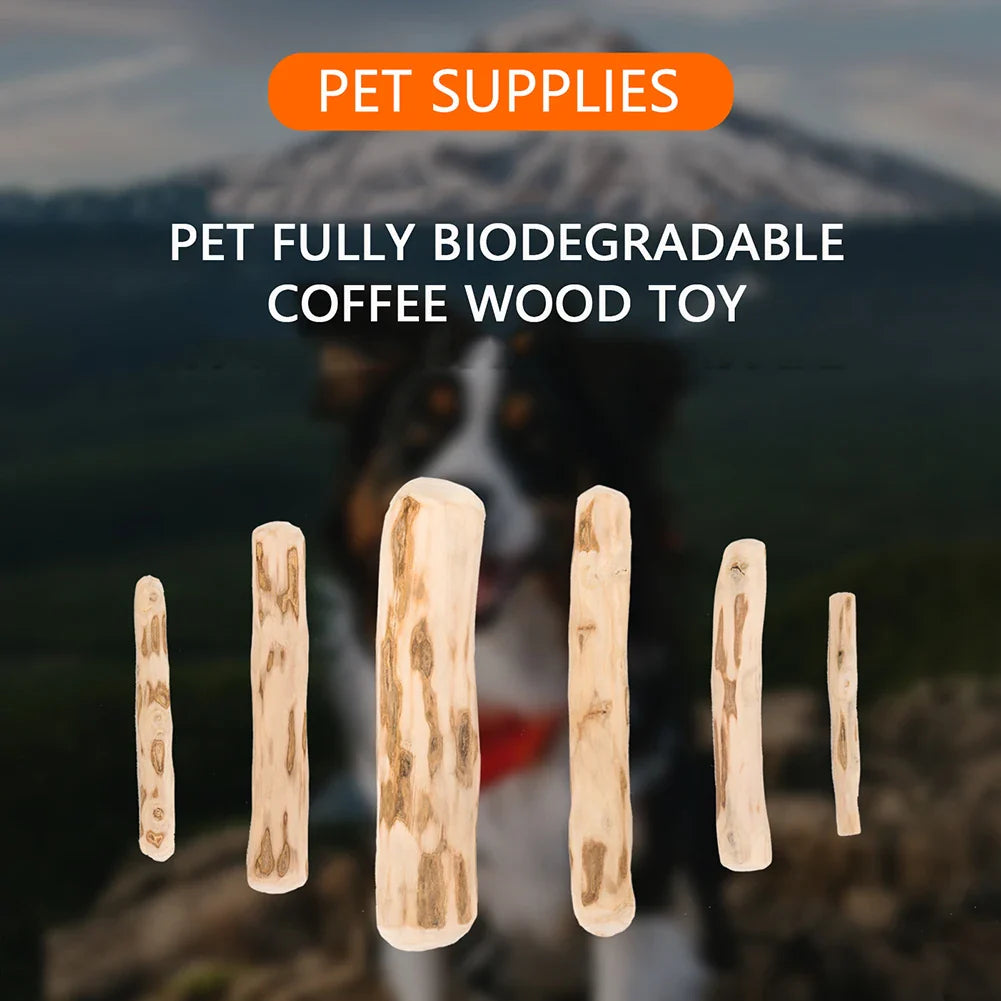 Natural Coffee Wood Dog Chew Stick for Teeth Grinding and Anxiety Relief-My Little Pet