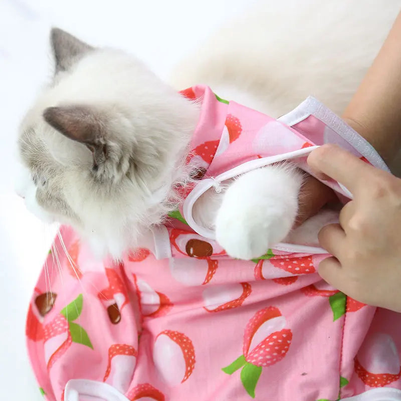 Cat and Small Dog Weaning Sterilization Suit with Cute Prints-My Little Pet