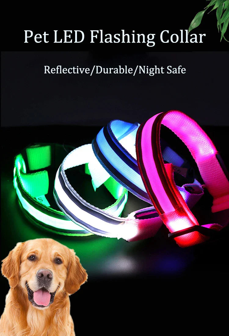 Reflective LED Dog Collar - USB Rechargeable and Button Battery Options-My Little Pet