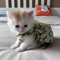 Sphynx Cat Summer Dress - Cotton Suspender Skirt with Floral Pattern-My Little Pet