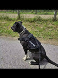 Tactical Dog Harness and Leash Set for All Dog Sizes-My Little Pet