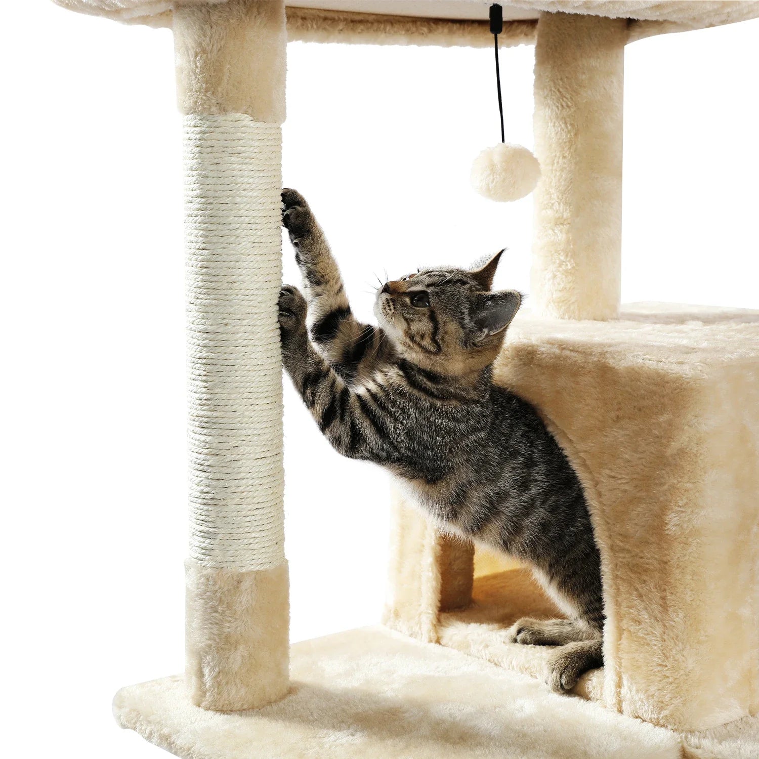 Multi-Level Cat Tree with Condo and Scratching Posts-My Little Pet