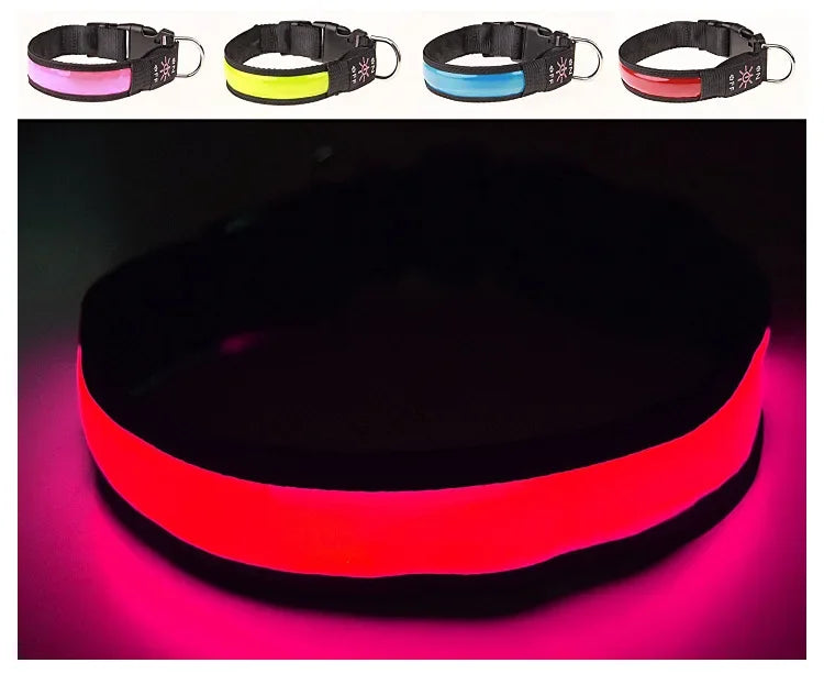 USB Rechargeable LED Dog Collar - Adjustable, Flashing Light Safety Collar for All Dog Sizes-My Little Pet