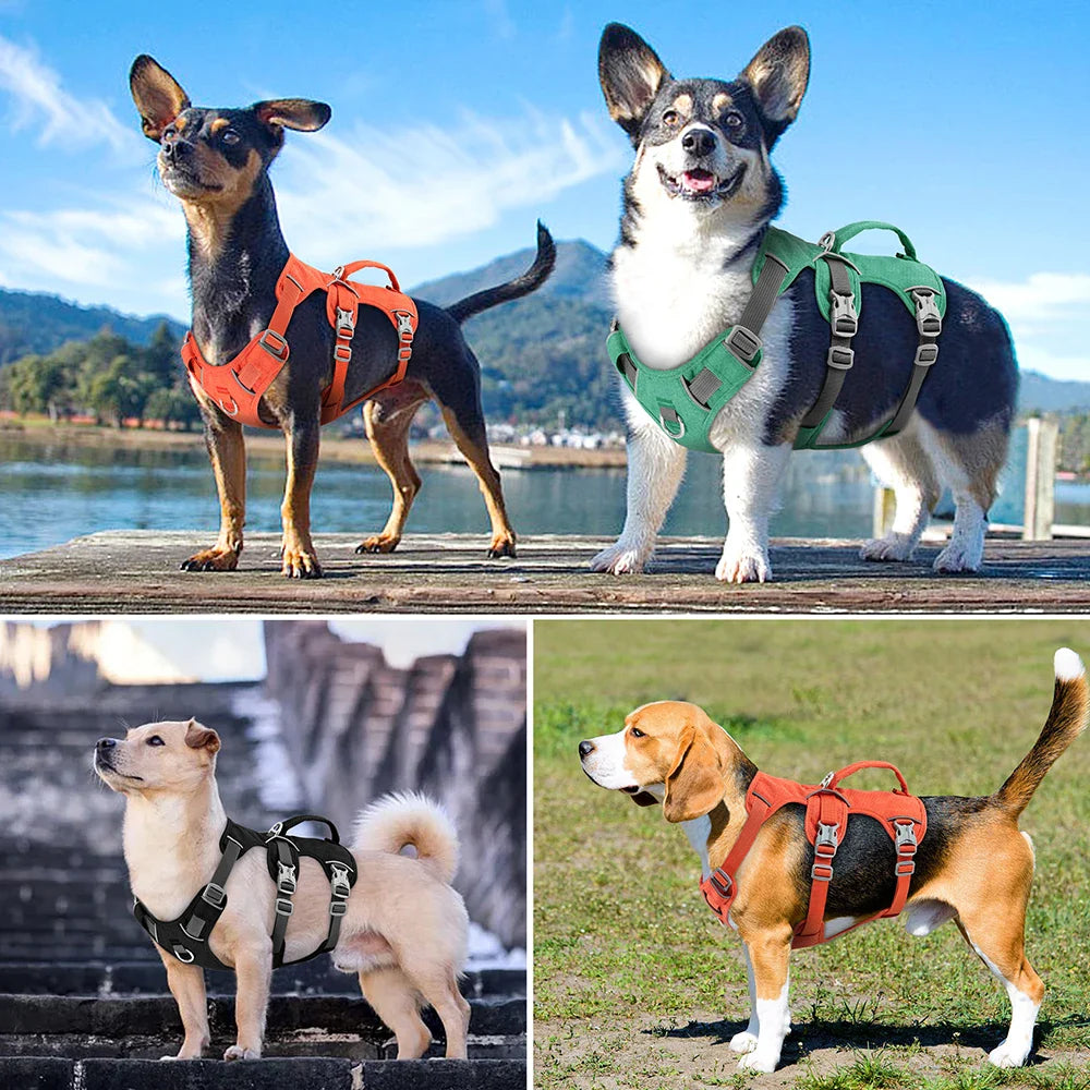 Adjustable Reflective Nylon Dog Harness with Handle for Various Dog Sizes-My Little Pet