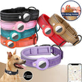 Waterproof Leather Dog Collar with Airtag Holder-My Little Pet