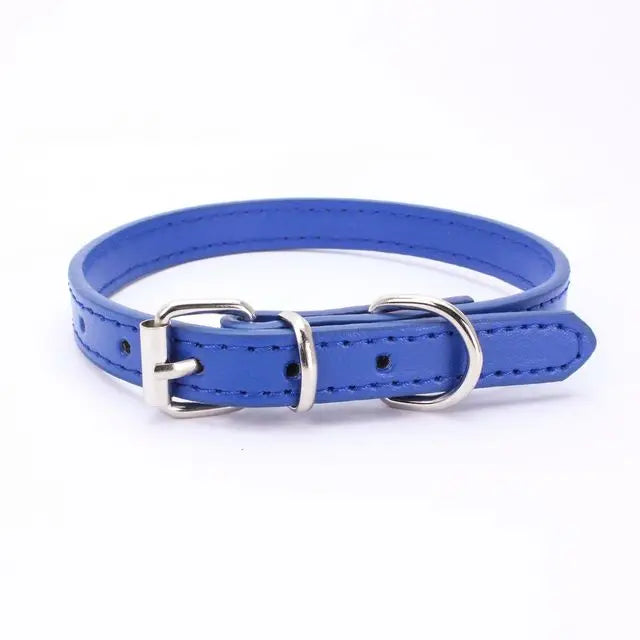 Adjustable Dog Collar with Alloy Buckle - Available in Multiple Colors-My Little Pet