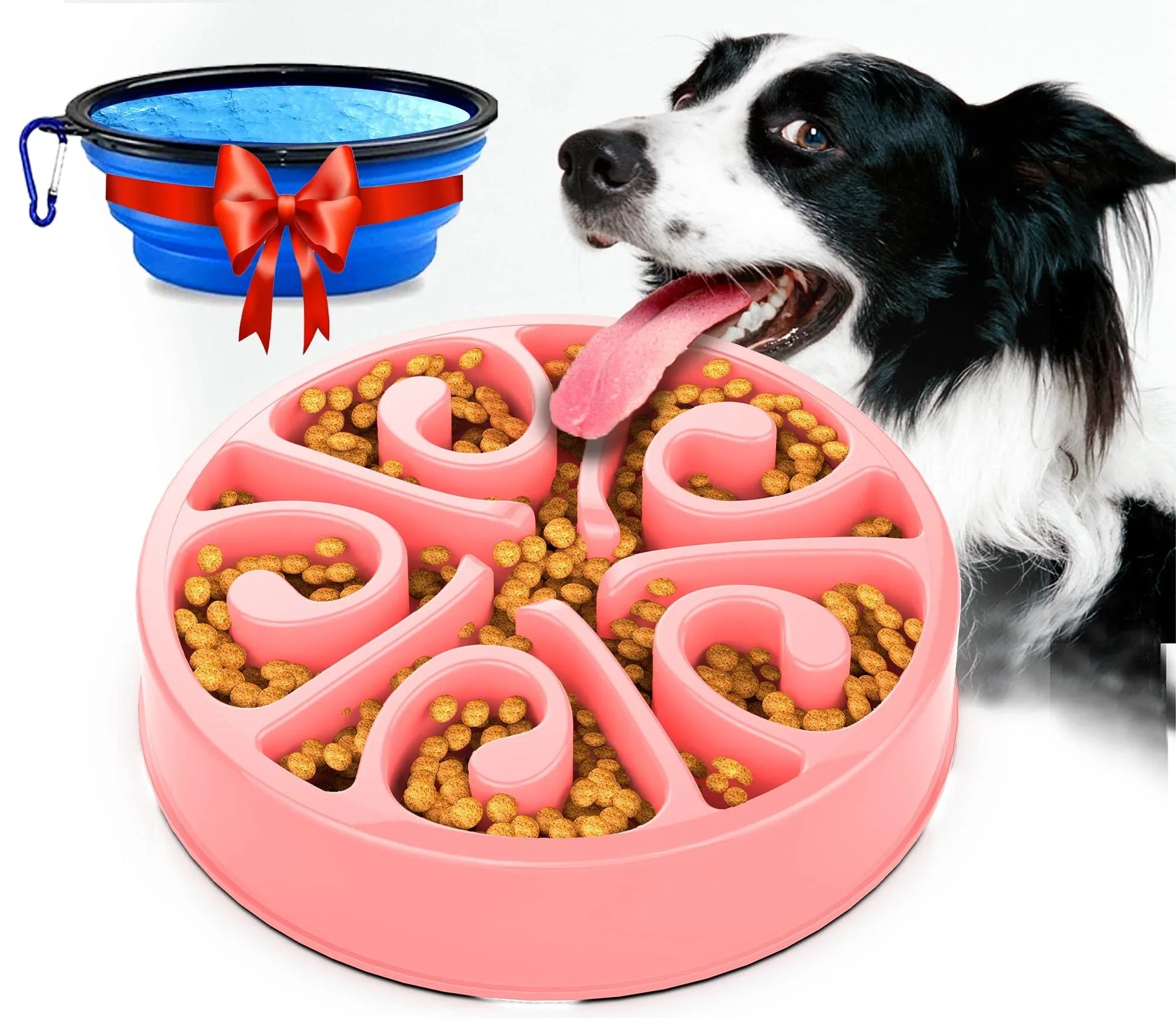 Eco-Friendly Slow Feeder Dog Bowl in Multiple Colors-My Little Pet