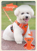 Breathable No-Pull Dog Harness and Leash Set for Small Dogs-My Little Pet