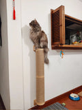 Wall-Mounted Cat Scratching Post with Wooden Base-My Little Pet