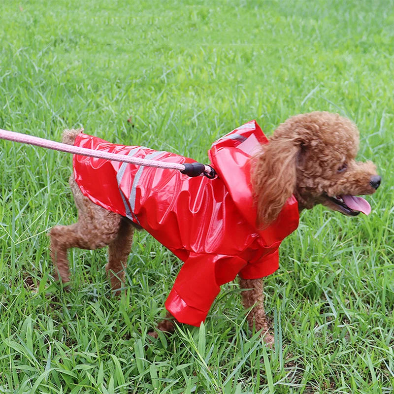 Reflective Waterproof Dog Raincoat for Small Pets-My Little Pet