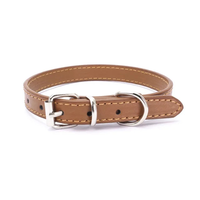 Adjustable Dog Collar with Alloy Buckle - Available in Multiple Colors-My Little Pet