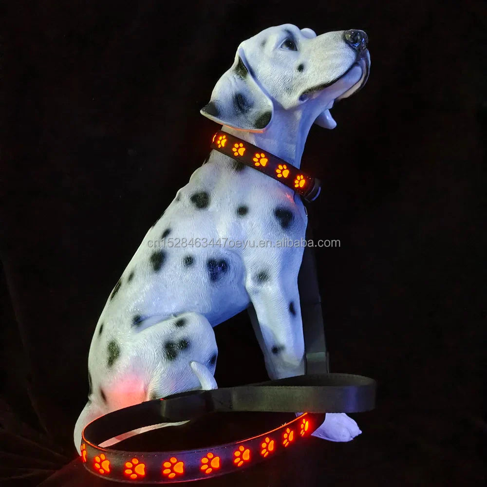 CC SIMON Rechargeable LED Dog Collar - Enhanced Night Safety with Multiple Flash Modes-My Little Pet