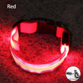 Reflective LED Dog Collar - USB Rechargeable and Button Battery Options-My Little Pet