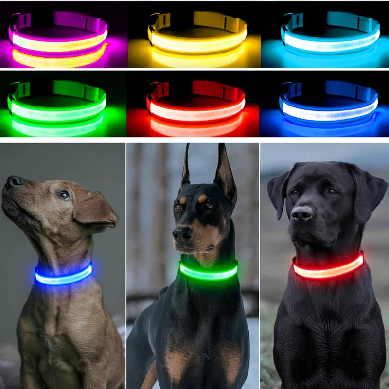 Rechargeable LED Dog Collar - Adjustable, Luminous Safety Collar for Pets-My Little Pet