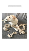 Multi-Purpose Chew Toy for Pets-My Little Pet