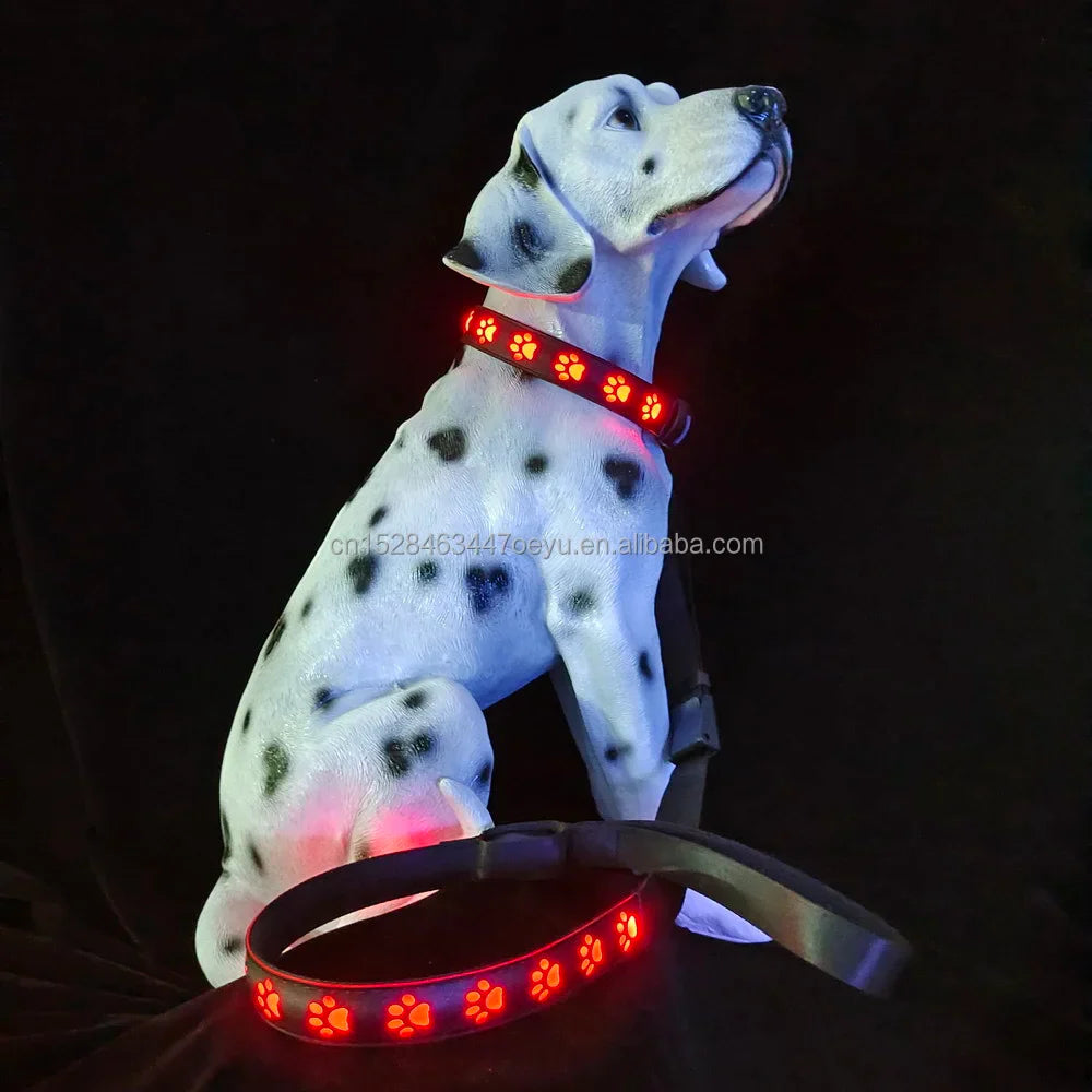 CC SIMON Rechargeable LED Dog Collar - Enhanced Night Safety with Multiple Flash Modes-My Little Pet