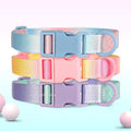 Adjustable Nylon Dog Collar with Quick Release - Available in Pink, Blue, Purple-My Little Pet