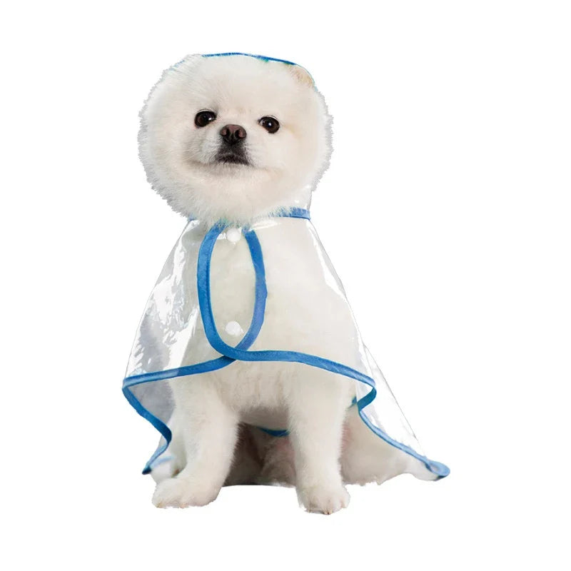 Transparent Raincoat for Dogs - Durable, Windproof, and Waterproof-My Little Pet