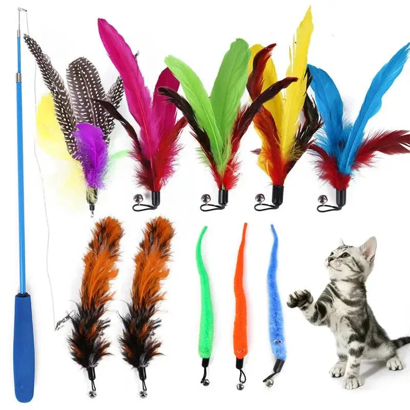 11-Piece Retractable Cat Feather Toy Set-My Little Pet