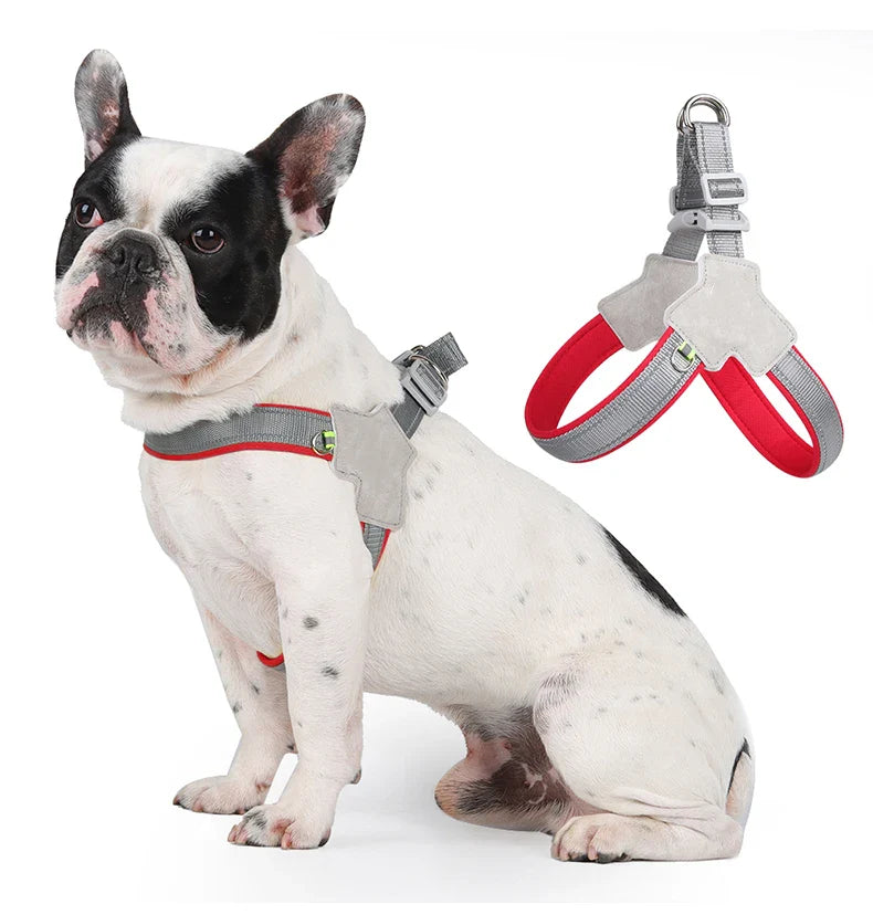 Reflective Adjustable Harness for Small to Medium Dogs and Cats-My Little Pet