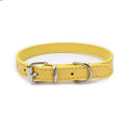 Adjustable Dog Collar with Alloy Buckle - Available in Multiple Colors-My Little Pet