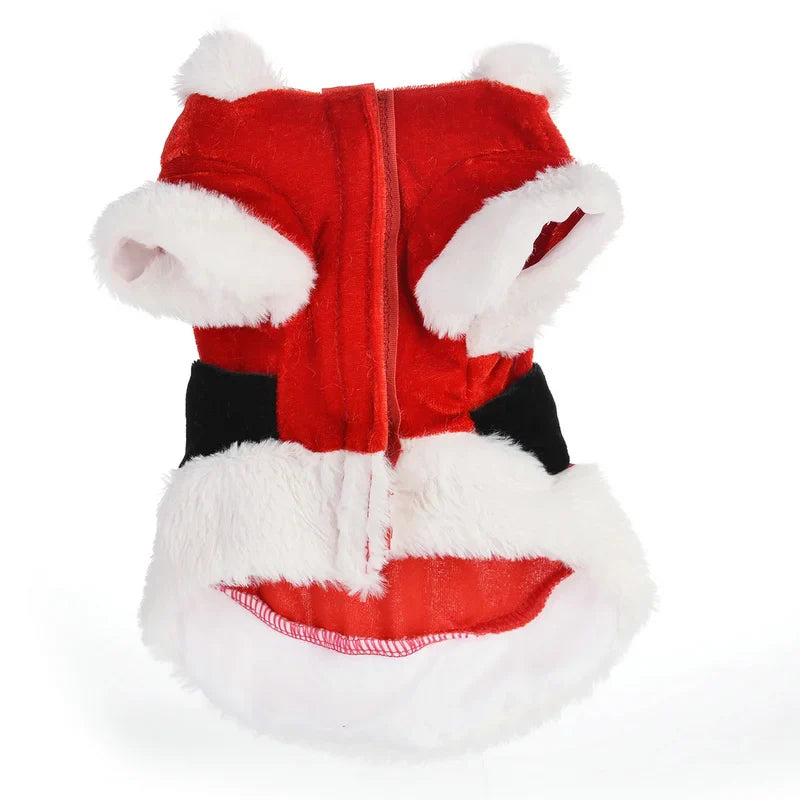 Santa Christmas Costume for Small Dogs and Cats-My Little Pet