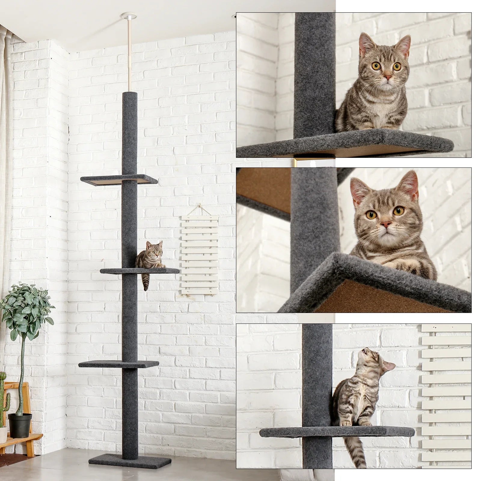 Floor-to-Ceiling Cat Tree - 228-274cm Tall Cat Climbing Tower-My Little Pet