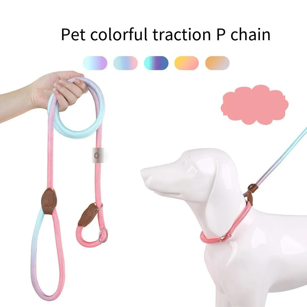 Durable Nylon Dog Leash for Puppies and Adult Dogs-My Little Pet