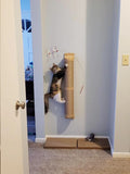 Wall-Mounted Cat Scratching Post with Wooden Base-My Little Pet