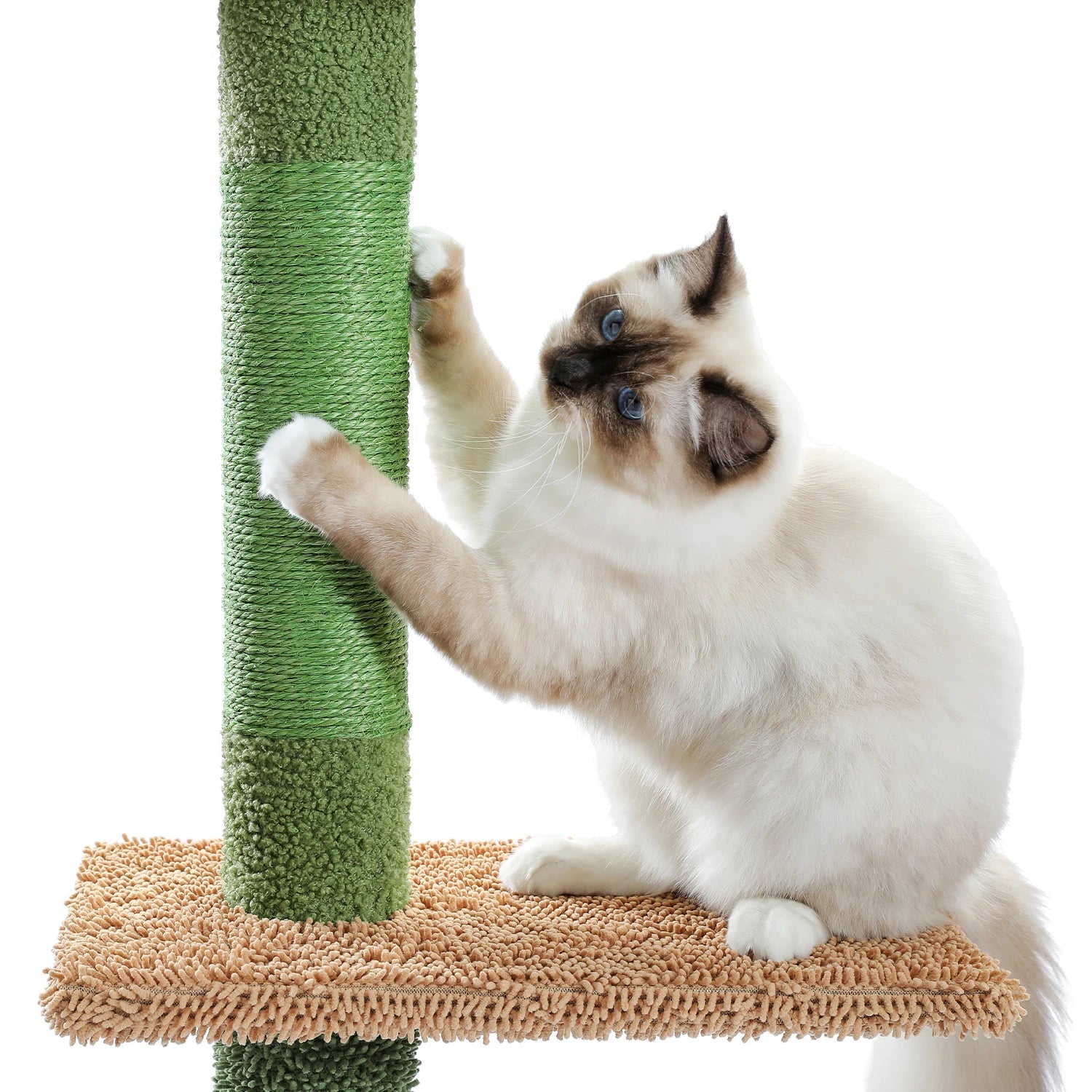 Floor-to-Ceiling Cat Tree - 228-274cm Tall Cat Climbing Tower-My Little Pet