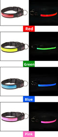 USB Rechargeable LED Dog Collar - Adjustable, Flashing Light Safety Collar for All Dog Sizes-My Little Pet