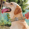 Reflective Nylon Dog Collar and Leash Set for Large Dogs - Tactical Training Gear-My Little Pet