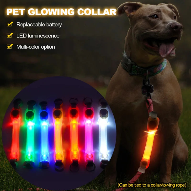 LED Safety Collar & Leash for Dogs - Waterproof with Flashing Lights-My Little Pet