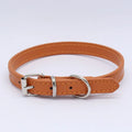 Adjustable Dog Collar with Alloy Buckle - Available in Multiple Colors-My Little Pet