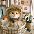 Lion Mane Cat Costume Wig-My Little Pet