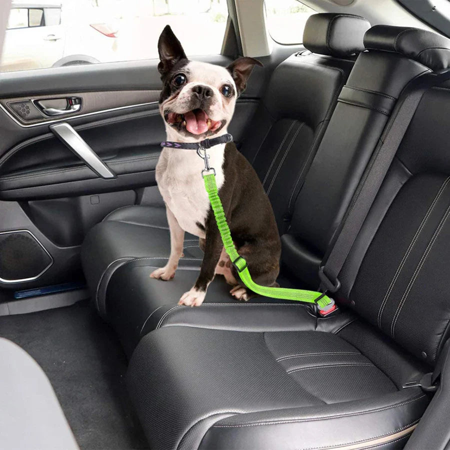 Elastic Reflective Safety Dog Seat Belt Leash for Car Travel - My Little Pet