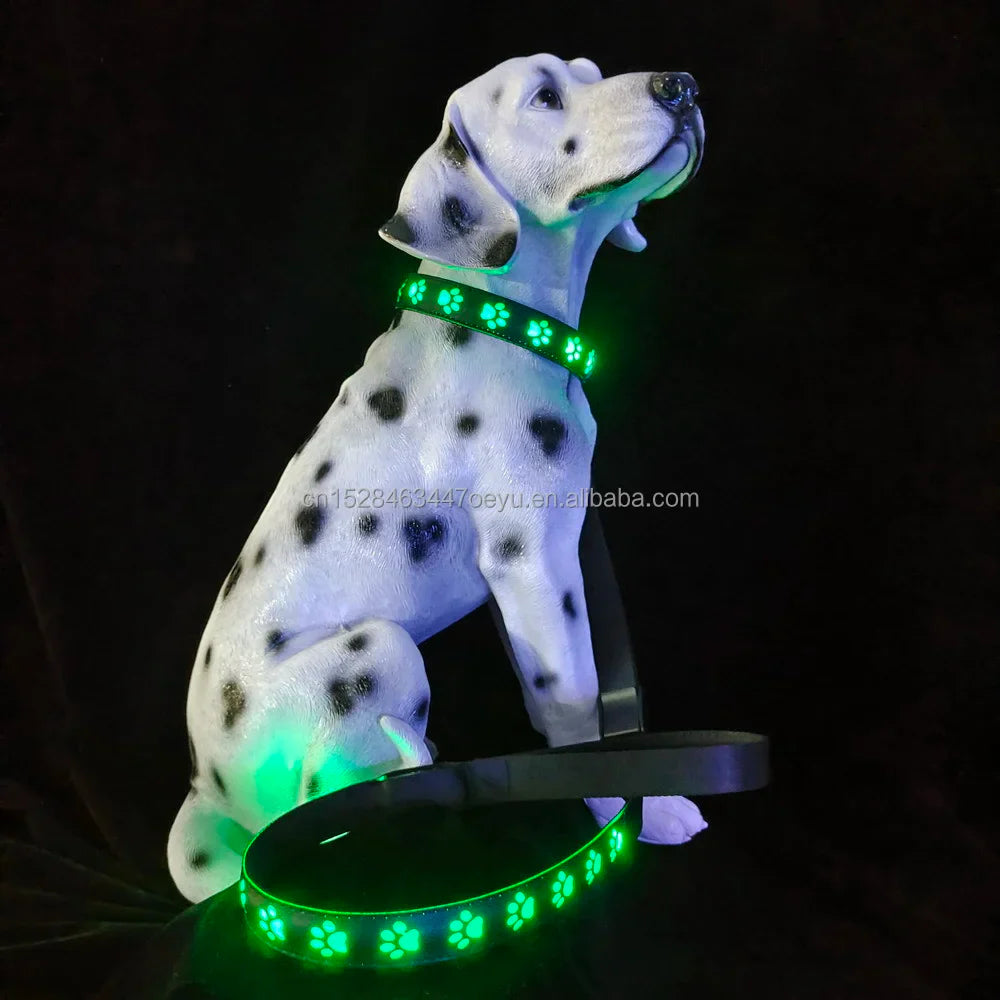 CC SIMON Rechargeable LED Dog Collar - Enhanced Night Safety with Multiple Flash Modes-My Little Pet