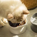 Elevated Dual-Use Pet Feeder for Cats and Dogs-My Little Pet