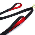 Heavy Duty Double-Handled Dog Leash for Training and Safety-My Little Pet