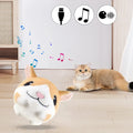 Interactive USB Rechargeable Pet Toy Ball with Sound and Movement-My Little Pet