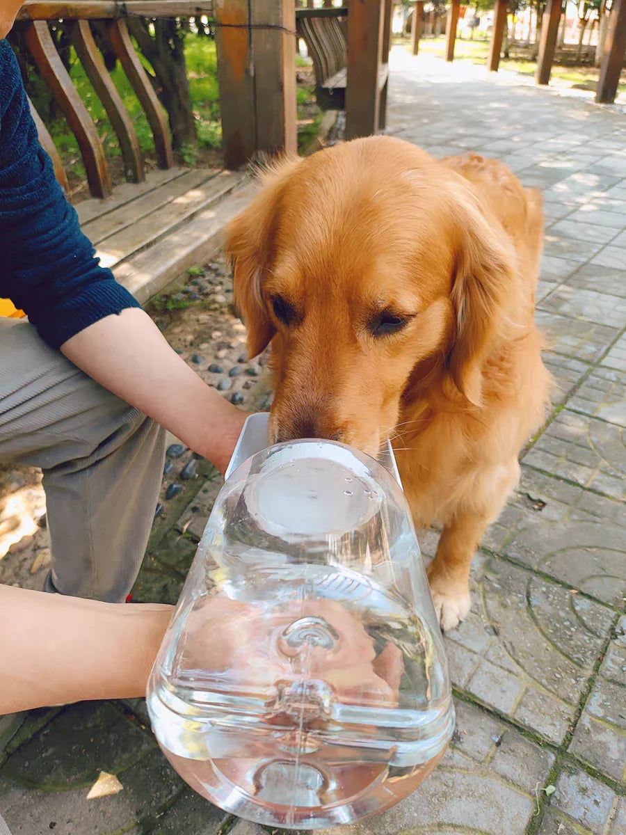 Portable 2-in-1 Dog Water Bottle & Food Container-My Little Pet