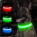 Rechargeable LED Dog Collar - Adjustable, Luminous Safety Collar for Pets-My Little Pet