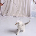 Interactive Cat Feather Toy with Suction Cup Base-My Little Pet