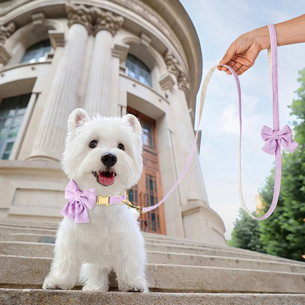 Elegant Velvet Dog Collar and Leash Set with Bowknot for Small to Medium Dogs-My Little Pet