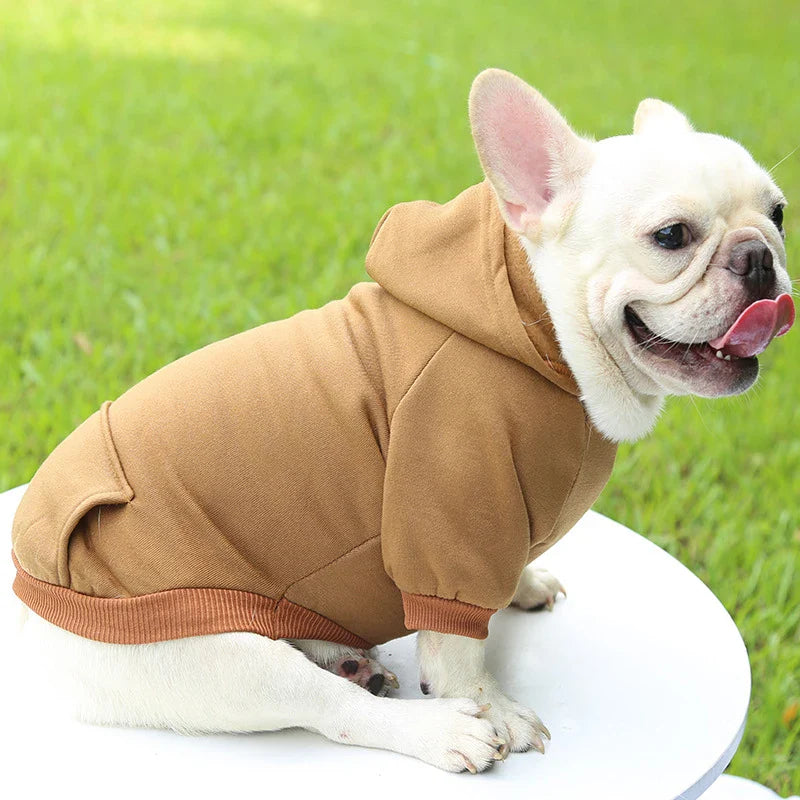 Stylish Dog Hoodie for Autumn and Winter - Warm Polyester Sweater for Small Pets-My Little Pet